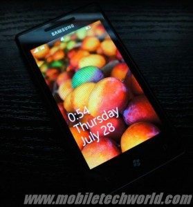 Mango_7712 Mango_7712