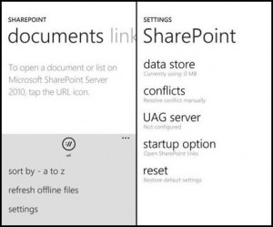 Microsoft Share Point