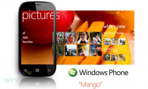 Windows Phone Mango