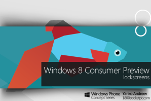 Windows 8 Consumer Preview