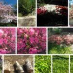 Новые примеры фотографий, снятых на камеру Nokia Lumia 900 Новые примеры фотографий, снятых на камеру Nokia Lumia 900
