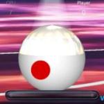 Pool Pro Online 3 Pool Pro Online 3
