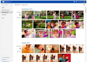 SkyDrive SkyDrive