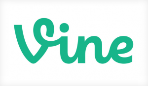 Vine Vine