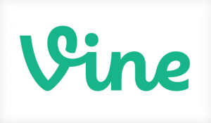 Vine