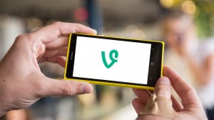 Vine для Windows Phone