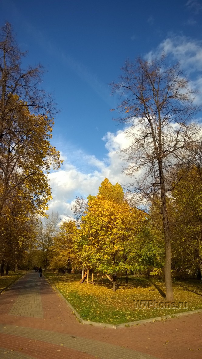 Сравнение фото Lumia 830 vs IPhone 6