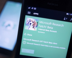 Fetch! — новый экспериментальный проект Microsoft